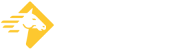 Logo for Paladin Security